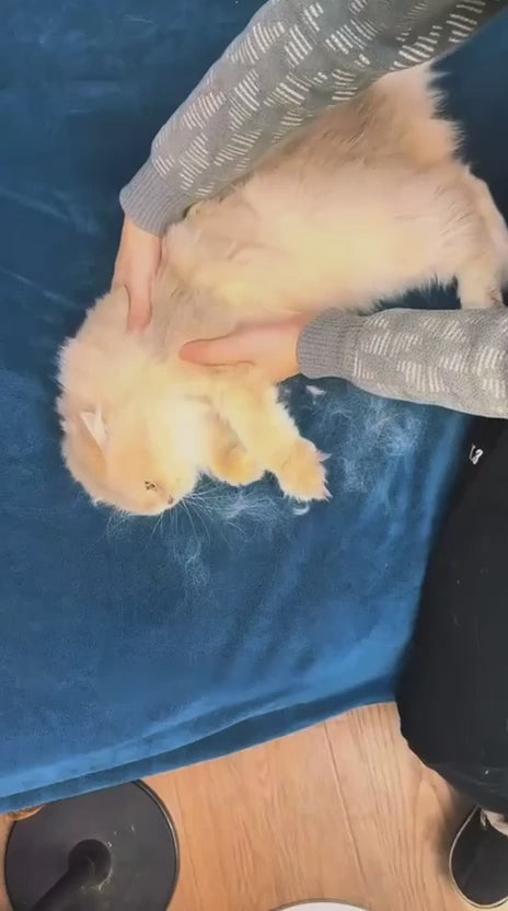 Guante CROSENS quitando pelo de una manta